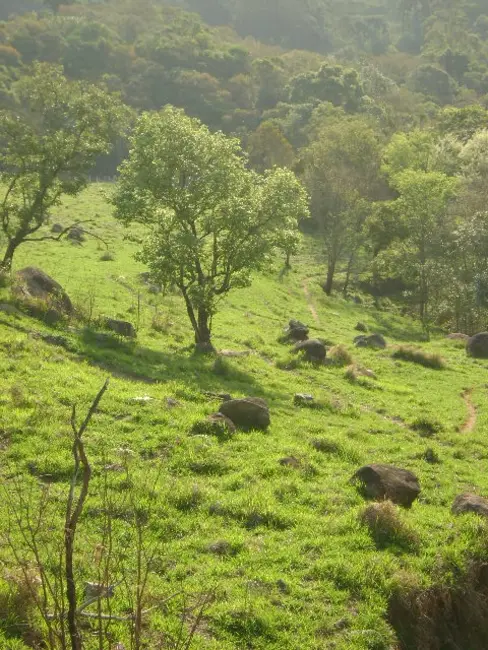 Foto 5 de Terreno / Lote à venda, 6000m2 em Mairipora - SP