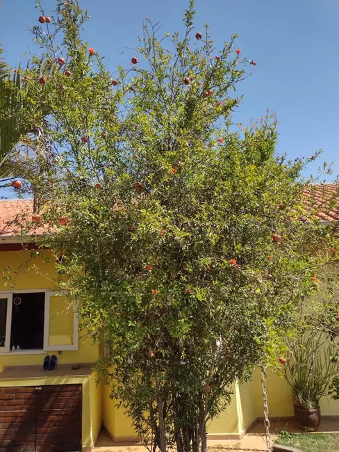 Foto 7 de Chácara com 3 quartos à venda, 512m2 em Jardim Shangri-Lá, Atibaia - SP