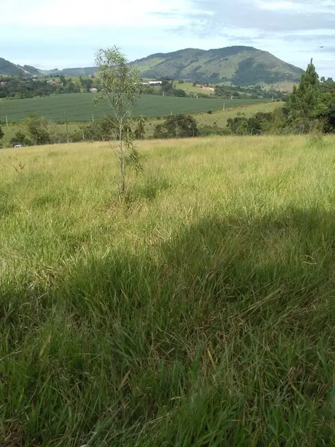 Foto 1 de Terreno / Lote à venda, 27300m2 em Vargem - SP