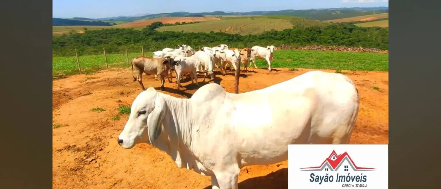 Fazenda / Haras com 4 quartos à venda, 500m2 em Oliveira - MG - imagem 4 Foto 4 de Fazenda / Haras com 4 quartos à venda, 500m2 em Oliveira - MG