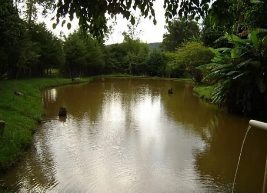 Foto 7 de Chácara com 2 quartos à venda, 4250m2 em Chácaras Fernão Dias, Atibaia - SP