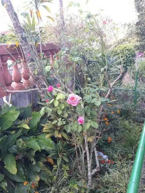 Foto 7 de Chácara com 5 quartos à venda, 1020m2 em Jardim Estância Brasil, Atibaia - SP