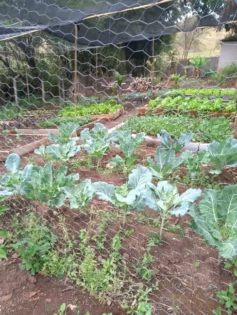 Foto 9 de Chácara com 4 quartos à venda, 300m2 em Ponte Alta, Atibaia - SP