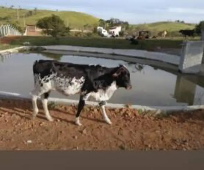 Foto 7 de Sítio / Rancho com 2 quartos à venda, 300m2 em Área Rural de Jacareí, Jacarei - SP