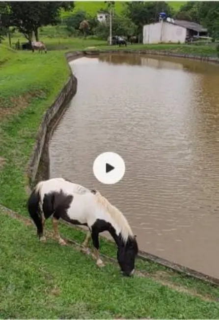 Foto 5 de Sítio / Rancho com 2 quartos à venda, 300m2 em Área Rural de Jacareí, Jacarei - SP