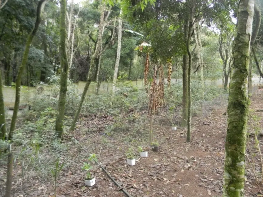 Foto 6 de Chácara com 5 quartos à venda, 2220m2 em Bairro dos Pires, Atibaia - SP