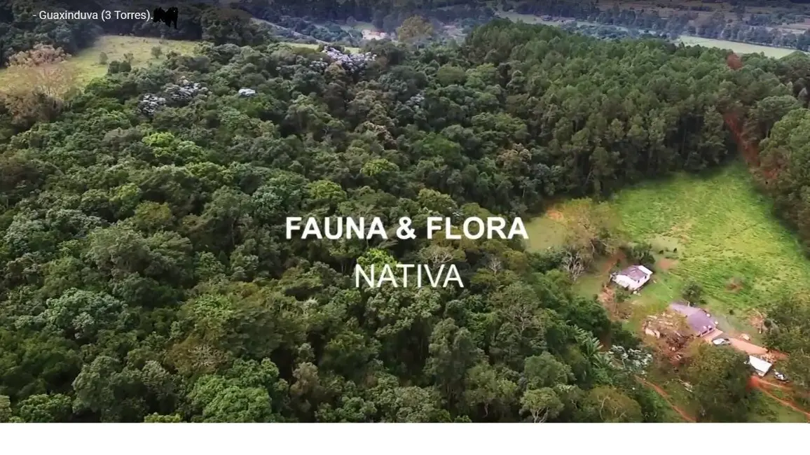 Chácara com 10 quartos à venda, 123000m2 em Guaxinduva, Atibaia - SP - imagem 7 Foto 7 de Chácara com 10 quartos à venda, 123000m2 em Guaxinduva, Atibaia - SP