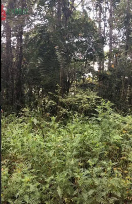 Foto 4 de Terreno / Lote à venda, 1400m2 em Mairipora - SP