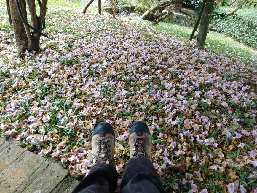 Chácara com 4 quartos à venda, 300m2 em Bairro dos Pires, Atibaia - SP - imagem 5 Foto 5 de Chácara com 4 quartos à venda, 300m2 em Bairro dos Pires, Atibaia - SP