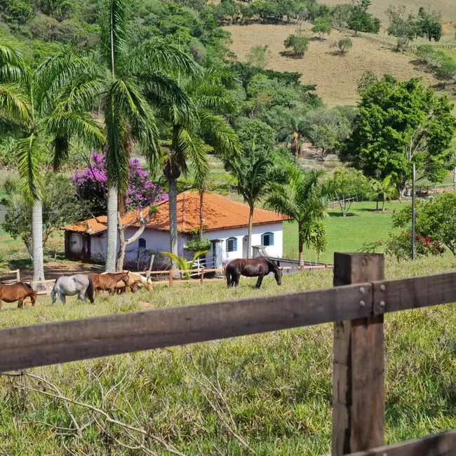 Fazenda / Haras com 4 quartos à venda, 650m2 em Pinhalzinho - SP - imagem 3 Foto 3 de Fazenda / Haras com 4 quartos à venda, 650m2 em Pinhalzinho - SP
