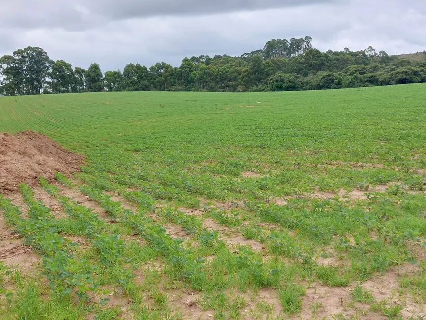 Fazenda / Haras à venda, 280m2 em Oliveira - MG - imagem 7 Foto 7 de Fazenda / Haras à venda, 280m2 em Oliveira - MG