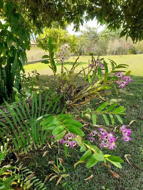 Foto 3 de Lote de Condomínio à venda, 2600m2 em Tanque, Atibaia - SP