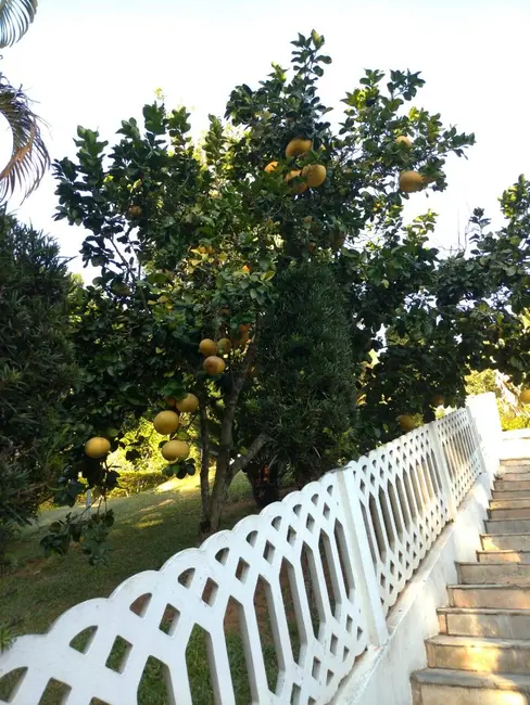 Foto 6 de Chácara com 2 quartos à venda, 200m2 em Nazare Paulista - SP