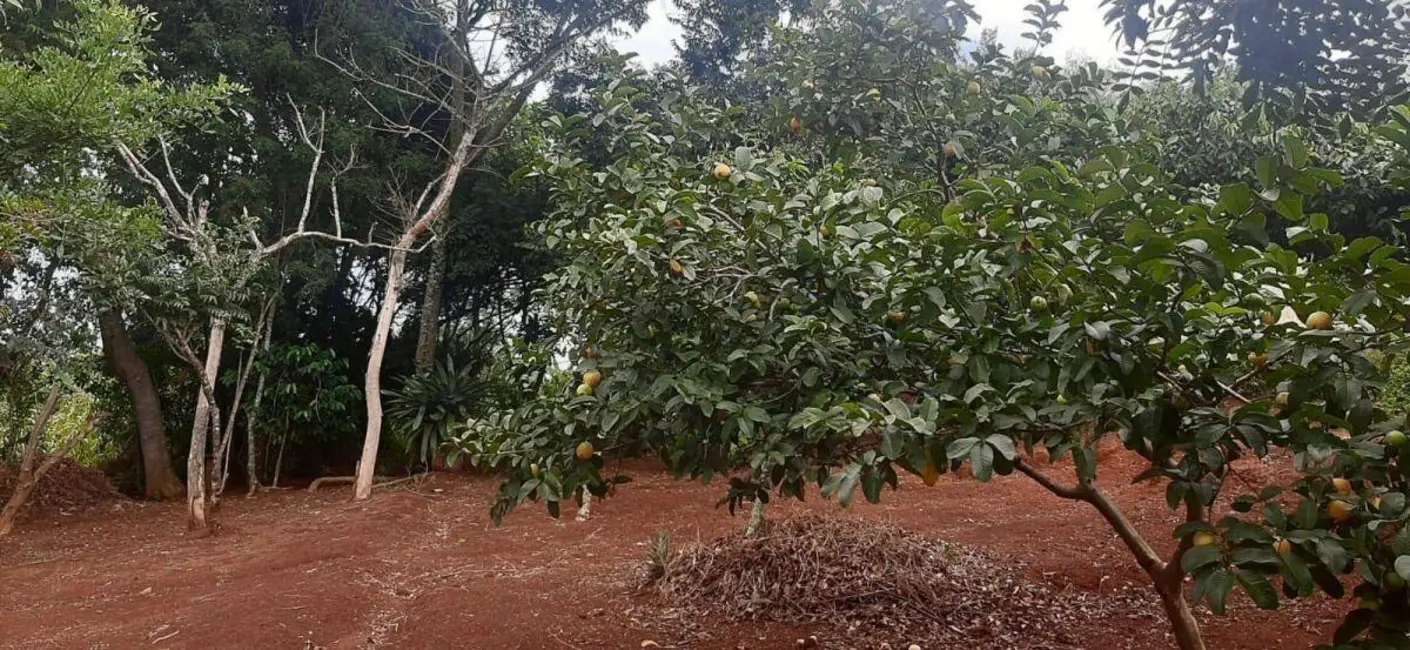 Chácara com 2 quartos à venda, 200m2 em Tuiuti - SP - imagem 5 Foto 5 de Chácara com 2 quartos à venda, 200m2 em Tuiuti - SP