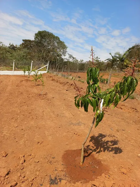 Foto 9 de Terreno / Lote à venda, 2785m2 em Chácaras Fernão Dias, Atibaia - SP