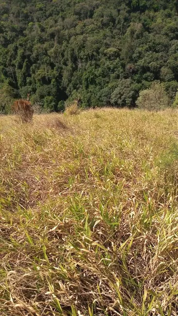 Foto 2 de Terreno / Lote à venda, 5000m2 em Mairipora - SP