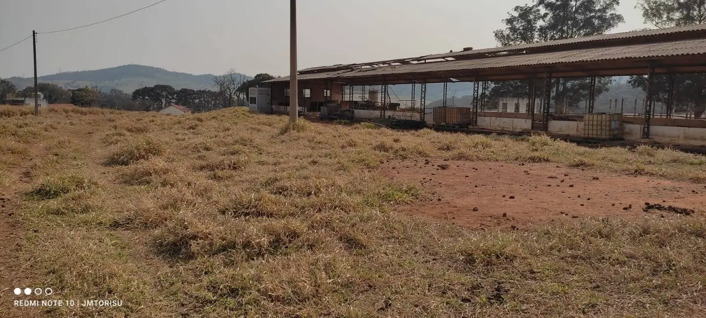 Foto 5 de Sítio / Rancho à venda, 181500m2 em Tanque, Atibaia - SP