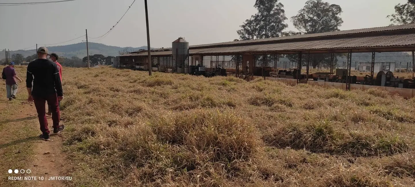 Foto 7 de Sítio / Rancho à venda, 181500m2 em Tanque, Atibaia - SP