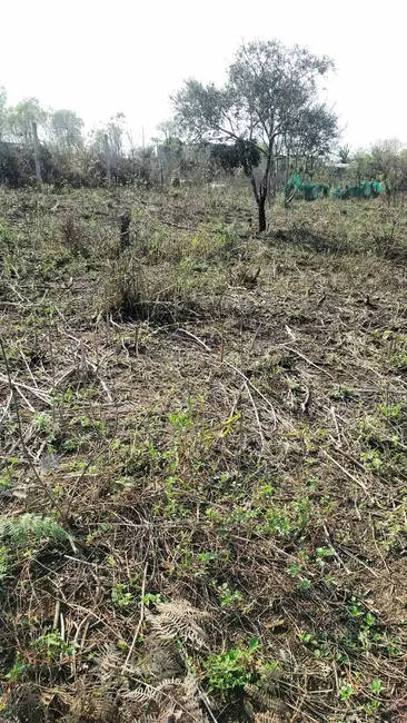 Foto 1 de Sítio / Rancho com 2 quartos à venda, 150m2 em Mairipora - SP