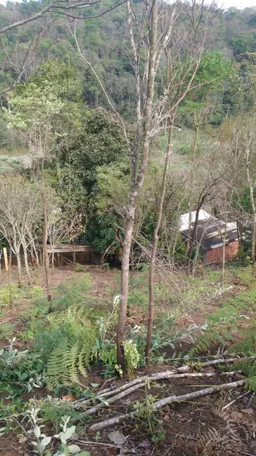 Sítio / Rancho com 2 quartos à venda, 150m2 em Mairipora - SP - imagem 6 Foto 6 de Sítio / Rancho com 2 quartos à venda, 150m2 em Mairipora - SP