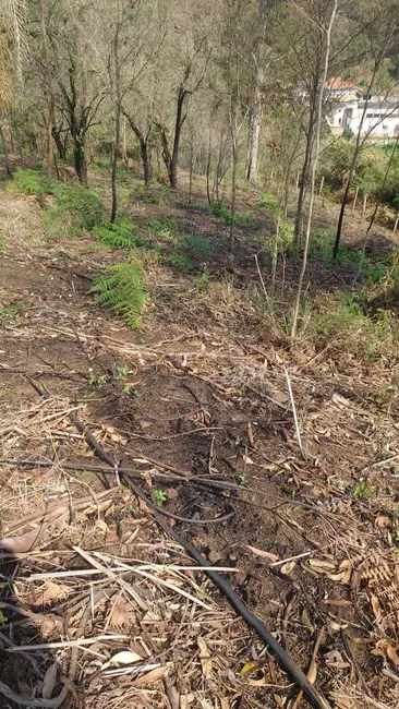 Sítio / Rancho com 2 quartos à venda, 150m2 em Mairipora - SP - imagem 5 Foto 5 de Sítio / Rancho com 2 quartos à venda, 150m2 em Mairipora - SP