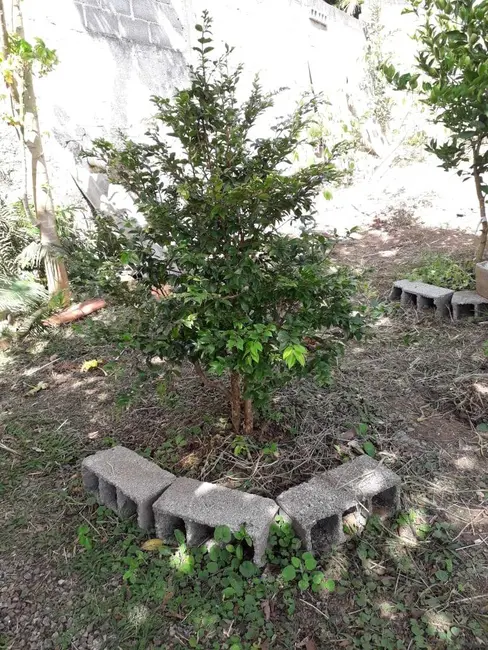 Chácara com 2 quartos à venda, 800m2 em Piracaia - SP - imagem 6 Foto 6 de Chácara com 2 quartos à venda, 800m2 em Piracaia - SP