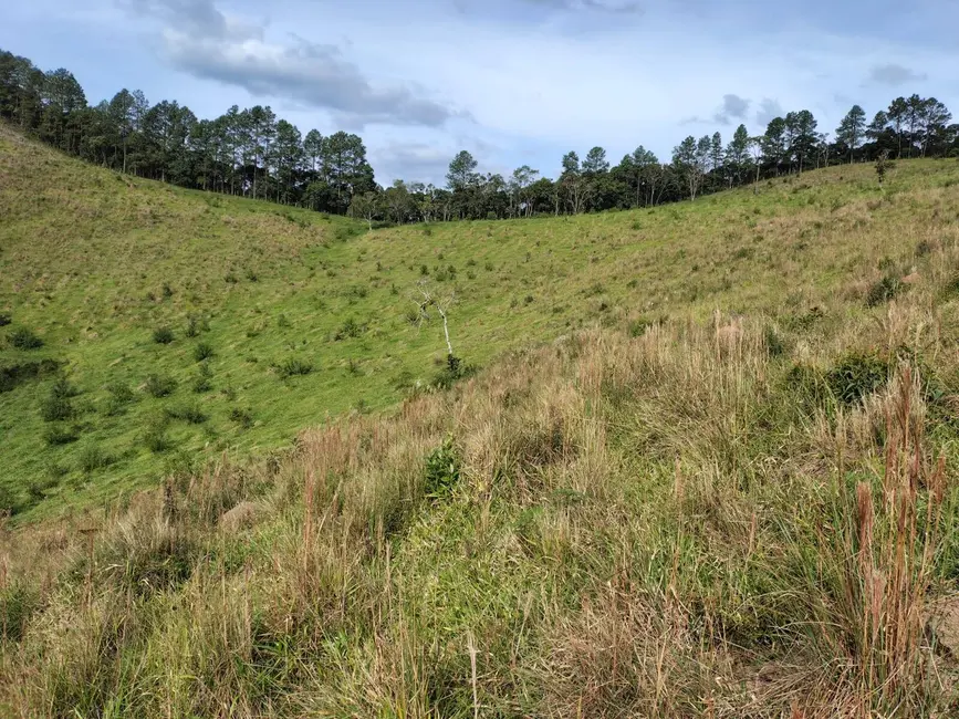 Sítio / Rancho com 1 quarto à venda, 12m2 em Joanopolis - SP - imagem 7 Foto 7 de Sítio / Rancho com 1 quarto à venda, 12m2 em Joanopolis - SP