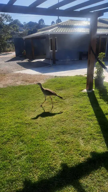 Foto 9 de Chácara com 3 quartos à venda, 150m2 em Pinhalzinho - SP