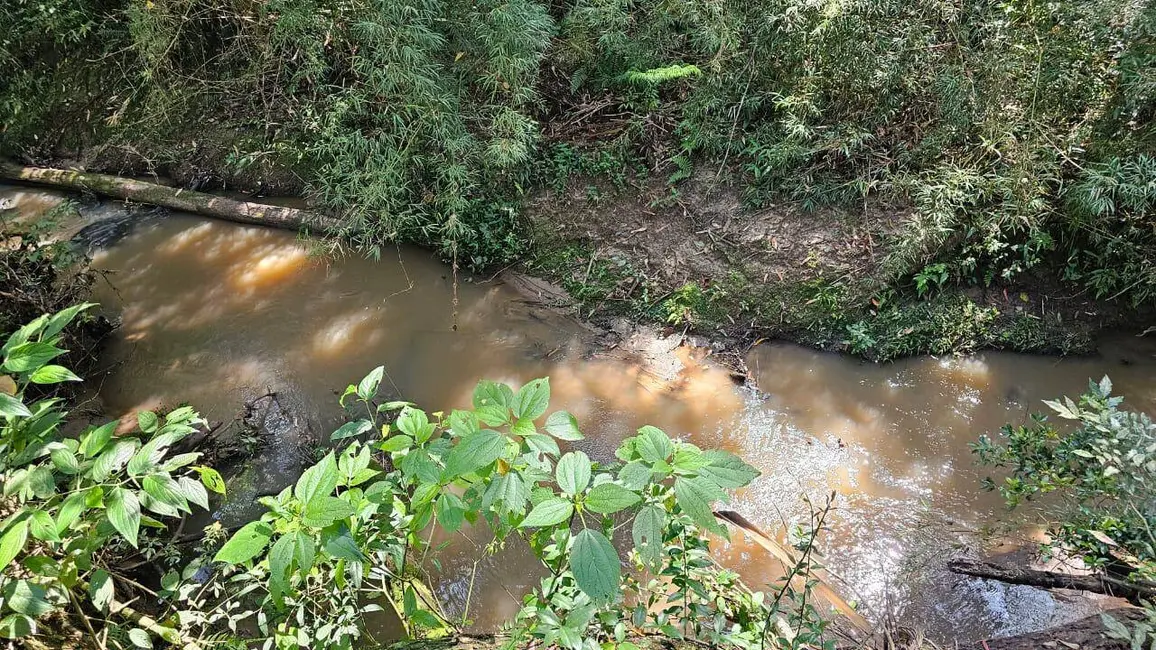 Foto 6 de Chácara com 3 quartos à venda, 300m2 em Pedra Bela - SP