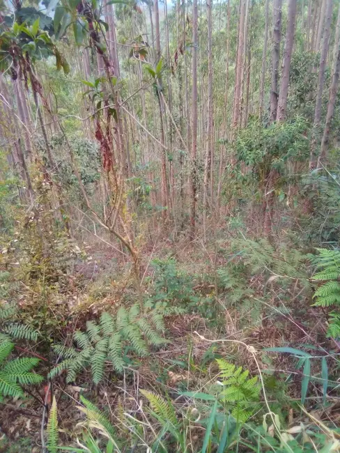 Foto 6 de Terreno / Lote à venda, 1210000m2 em Parque Santo Antônio, Jacarei - SP