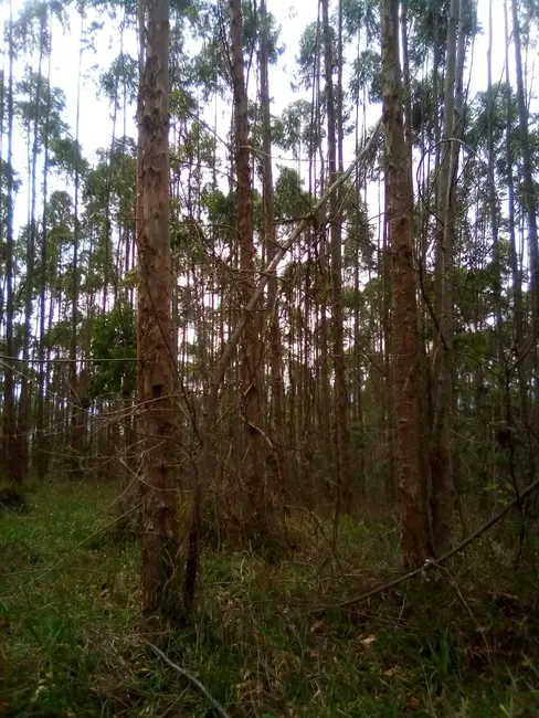 Foto 7 de Terreno / Lote à venda, 1210000m2 em Parque Santo Antônio, Jacarei - SP