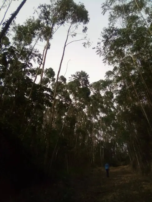 Foto 9 de Terreno / Lote à venda, 1210000m2 em Parque Santo Antônio, Jacarei - SP