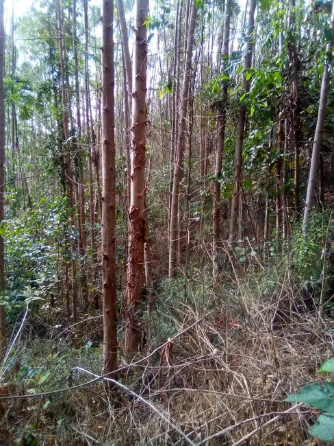 Foto 4 de Terreno / Lote à venda, 1210000m2 em Parque Santo Antônio, Jacarei - SP