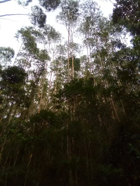 Foto 5 de Terreno / Lote à venda, 1210000m2 em Parque Santo Antônio, Jacarei - SP