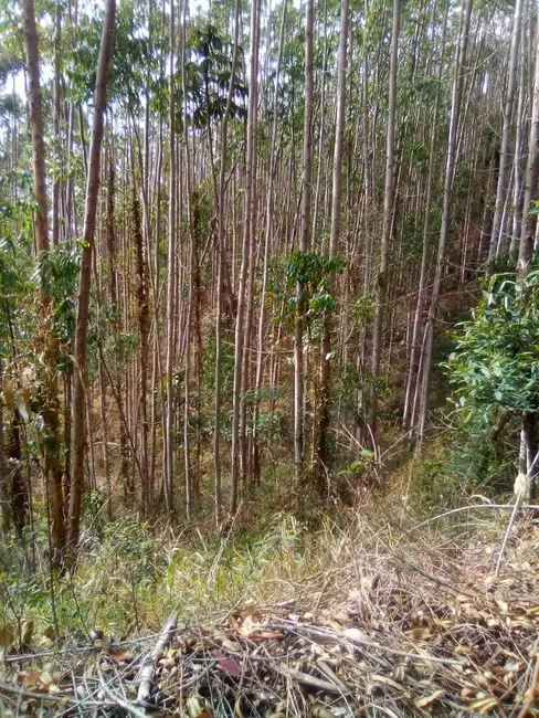 Foto 8 de Terreno / Lote à venda, 1210000m2 em Parque Santo Antônio, Jacarei - SP