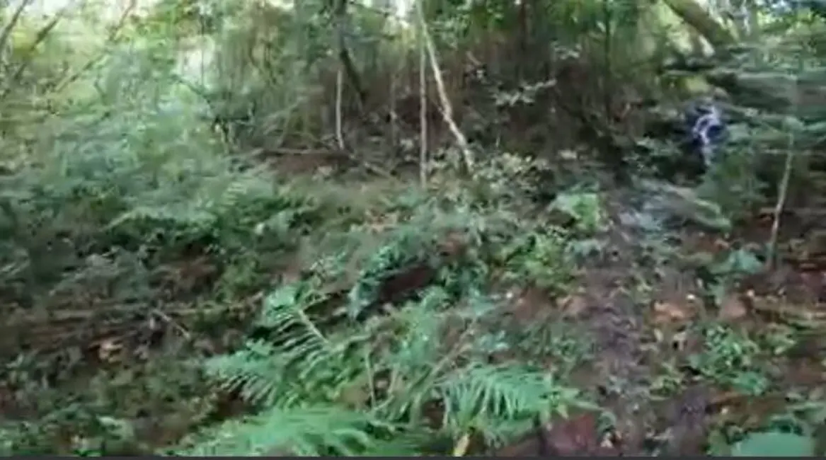 Fazenda / Haras com 7 quartos à venda, 600m2 em Joanopolis - SP - imagem 9 Foto 9 de Fazenda / Haras com 7 quartos à venda, 600m2 em Joanopolis - SP