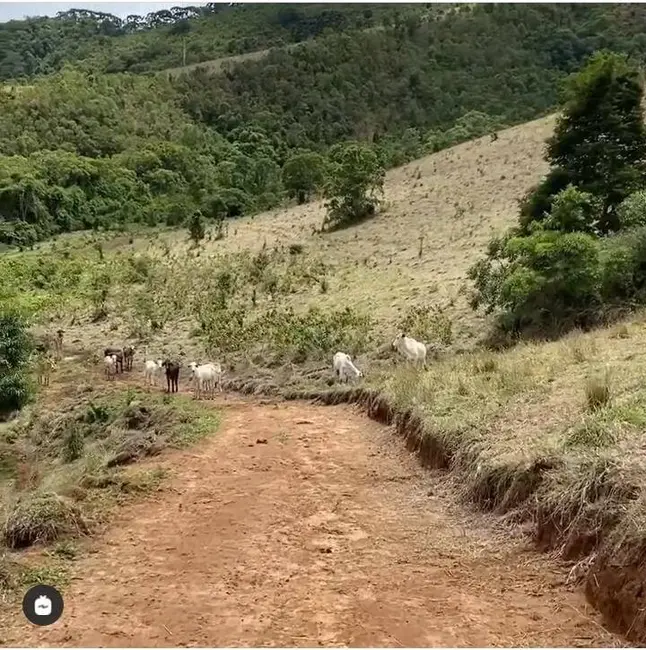 Fazenda / Haras com 7 quartos à venda, 600m2 em Joanopolis - SP - imagem 6 Foto 6 de Fazenda / Haras com 7 quartos à venda, 600m2 em Joanopolis - SP
