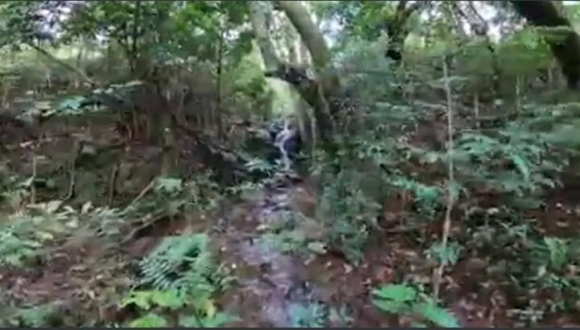 Fazenda / Haras com 7 quartos à venda, 600m2 em Joanopolis - SP - imagem 5 Foto 5 de Fazenda / Haras com 7 quartos à venda, 600m2 em Joanopolis - SP