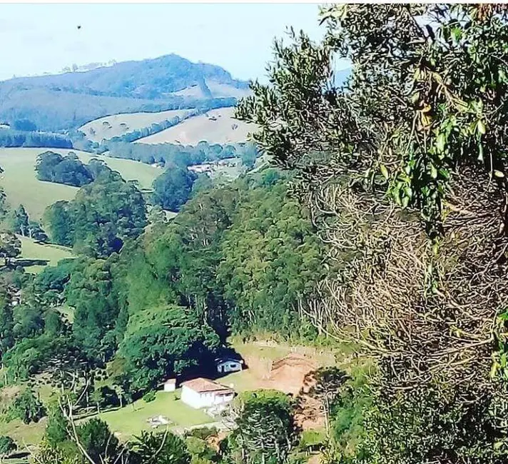 Fazenda / Haras com 7 quartos à venda, 600m2 em Joanopolis - SP - imagem 4 Foto 4 de Fazenda / Haras com 7 quartos à venda, 600m2 em Joanopolis - SP
