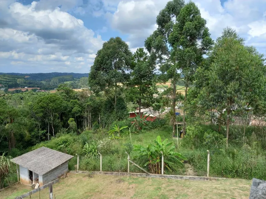 Foto 6 de Chácara com 3 quartos à venda, 2500m2 em Centro (Caucaia do Alto), Cotia - SP