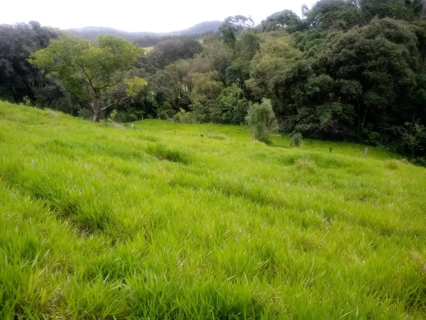 Foto 5 de Sítio / Rancho com 3 quartos à venda, 300m2 em Centro, Vargem - SP