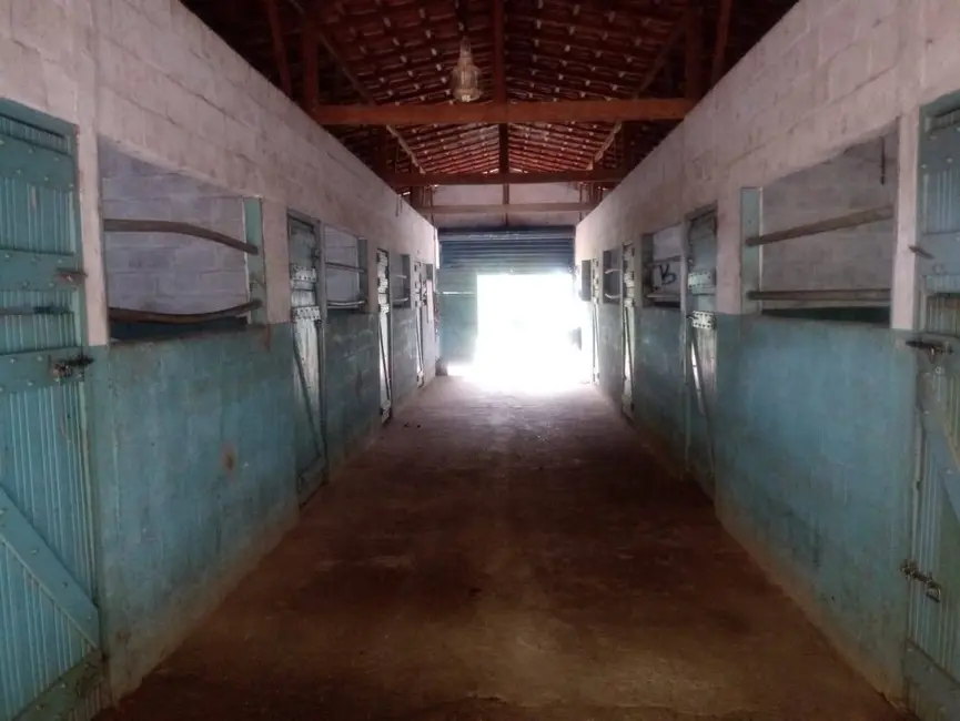 Foto 9 de Sítio / Rancho com 3 quartos à venda, 300m2 em Centro, Vargem - SP