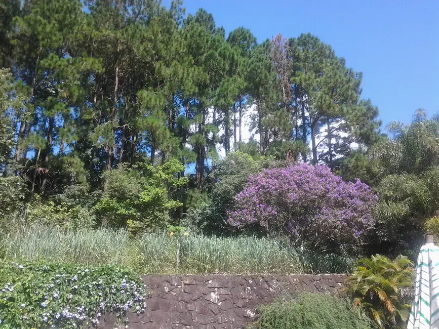 Chácara com 8 quartos à venda, 10000m2 em Lopes, Valinhos - SP - imagem 7 Foto 7 de Chácara com 8 quartos à venda, 10000m2 em Lopes, Valinhos - SP