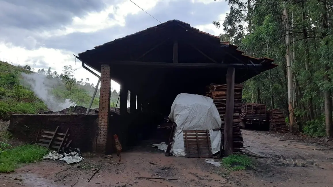 Foto 8 de Sítio / Rancho com 2 quartos à venda, 1000m2 em Pinhalzinho - SP