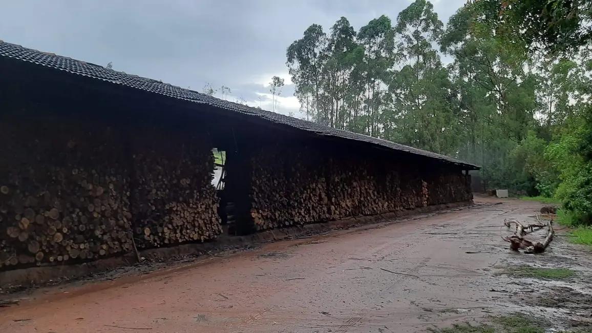 Foto 3 de Sítio / Rancho com 2 quartos à venda, 1000m2 em Pinhalzinho - SP
