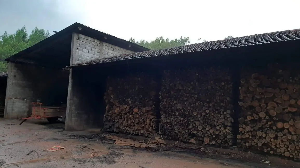 Foto 9 de Sítio / Rancho com 2 quartos à venda, 1000m2 em Pinhalzinho - SP