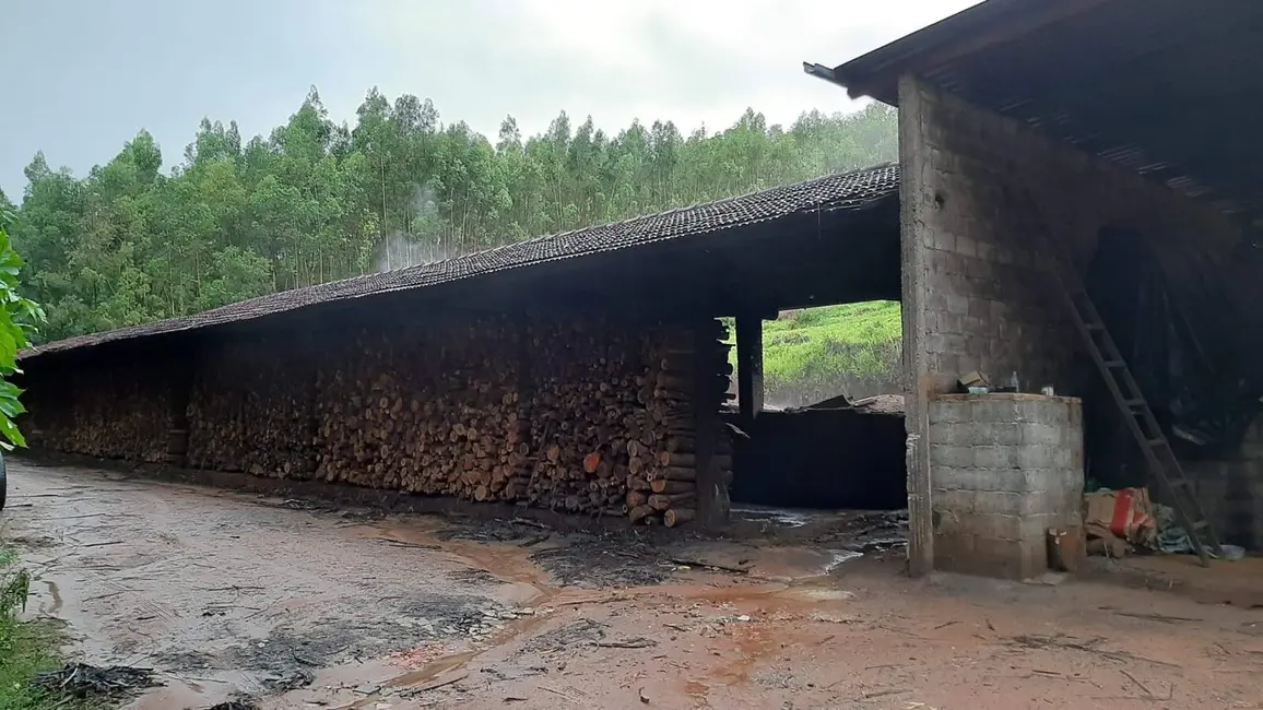 Foto 6 de Sítio / Rancho com 2 quartos à venda, 1000m2 em Pinhalzinho - SP
