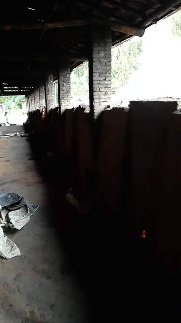 Foto 7 de Sítio / Rancho com 2 quartos à venda, 1000m2 em Pinhalzinho - SP