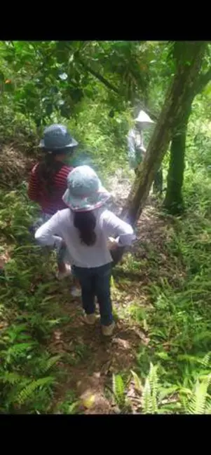 Foto 9 de Chácara com 2 quartos à venda, 200m2 em Mairipora - SP