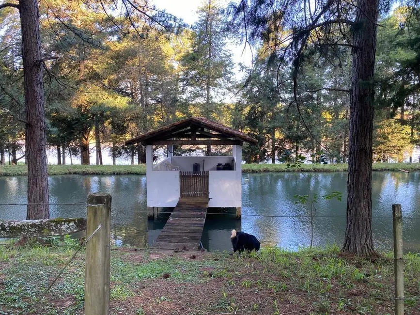 Foto 9 de Fazenda / Haras à venda, 300m2 em Centro, Aguas De Santa Barbara - SP